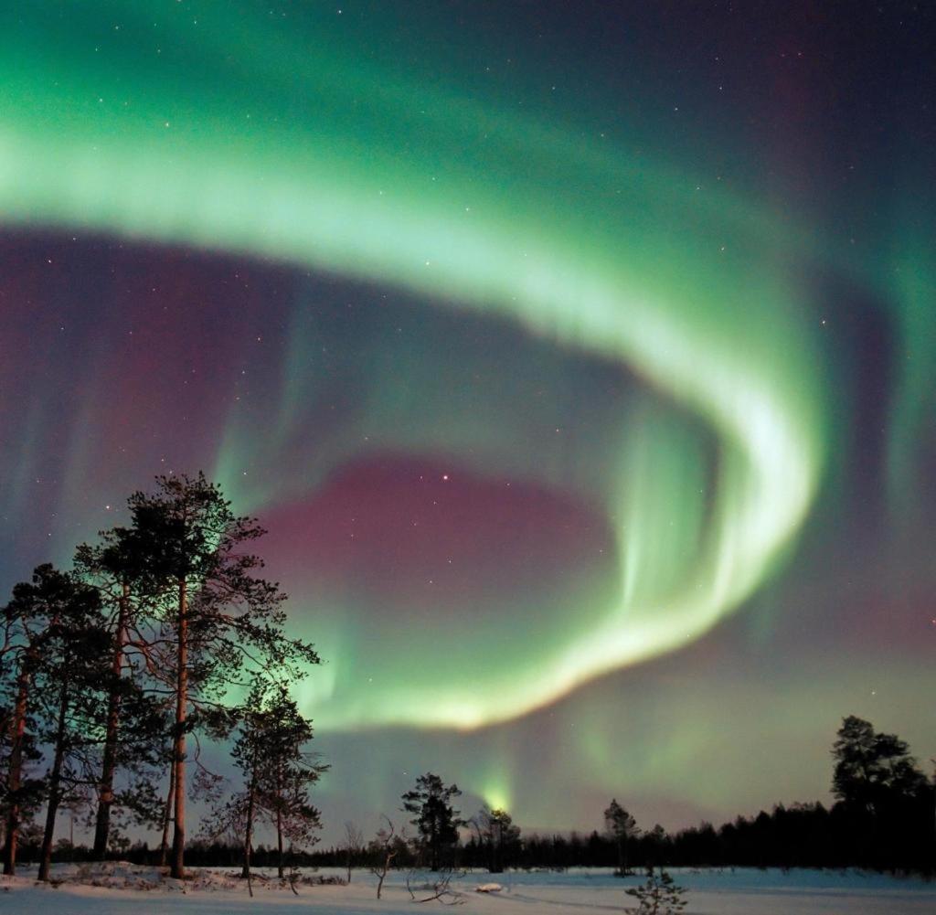 Glamping Taelt/Tent - Glampingzelt -Lodge - Sjoeutsikt Blattniksele Esterno foto